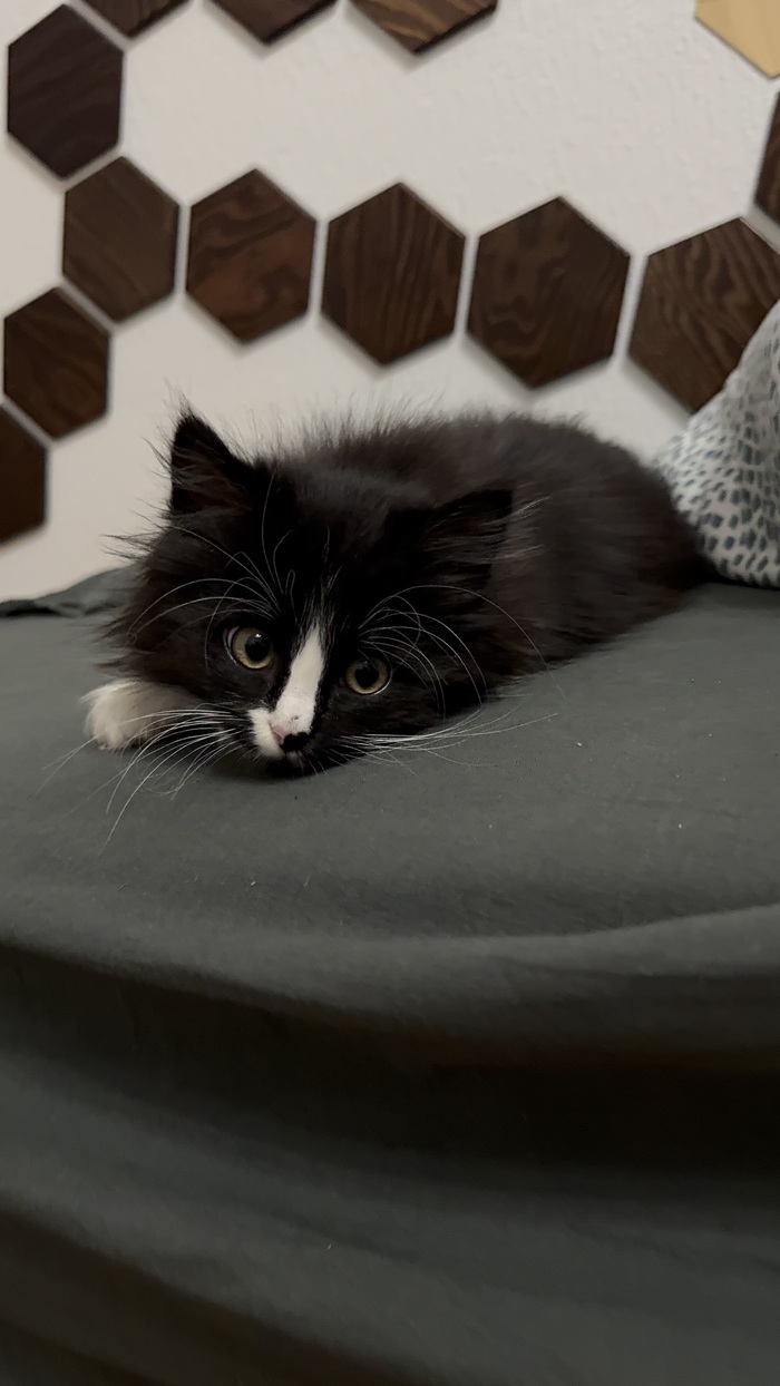 Щас я немного отдохну и буду дальше бесоебить.