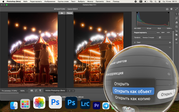 RAW,  -,          Adobe Camera Raw?