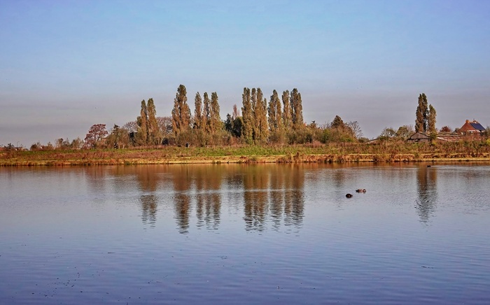 ����� � ��� ����. ���� 10-01-2025