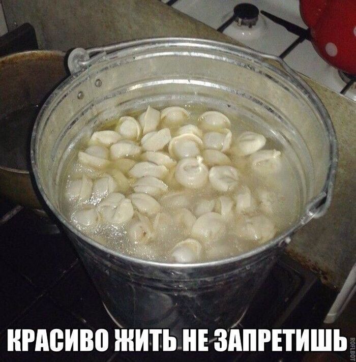   , , , , , , 