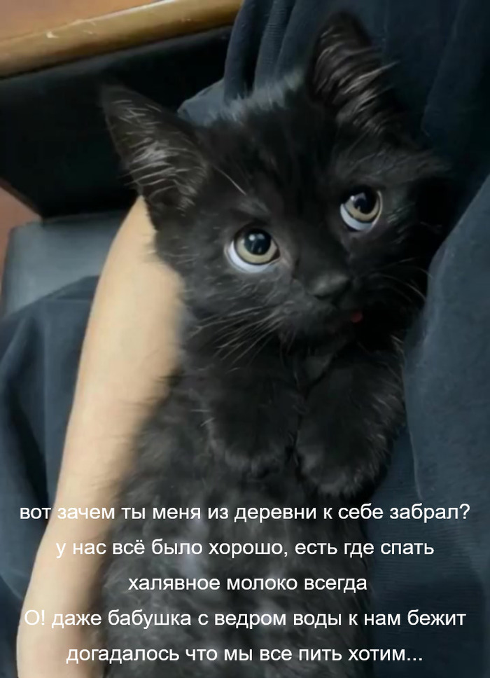 Ответ на пост «Эти глаза»