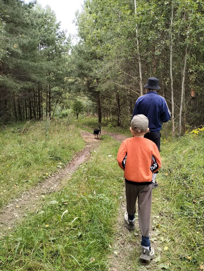 Исследование леса с батей, в городе такой роскоши не много.