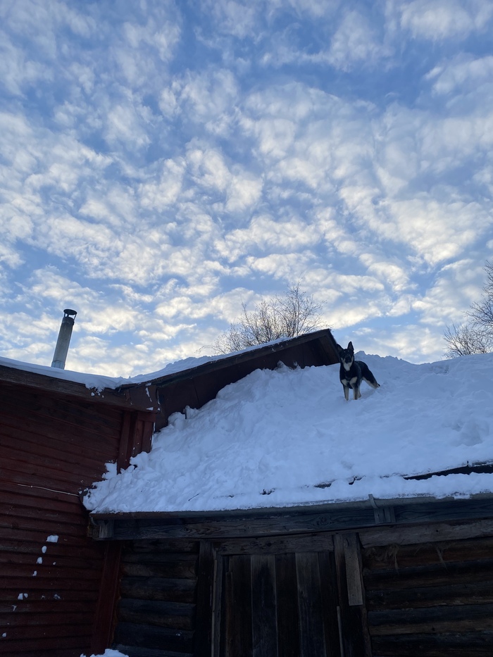 Прошлой зимой было море снега и мы развлекались, как могли)