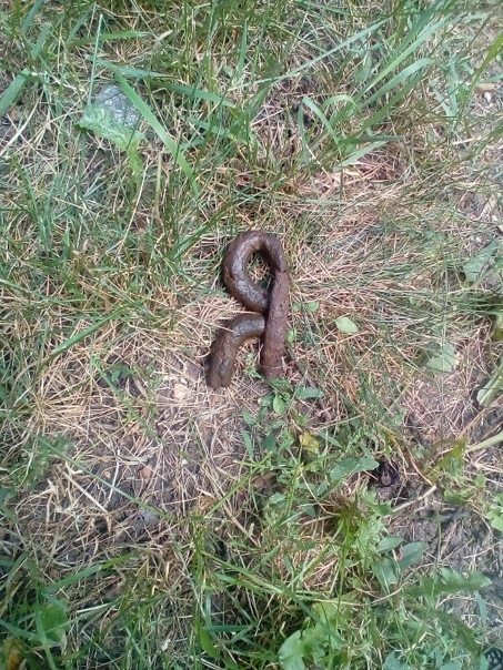 Нашла чьё-то истинное "Я"