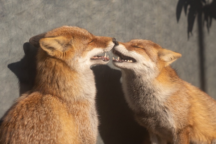     - &quot;-        &quot;...