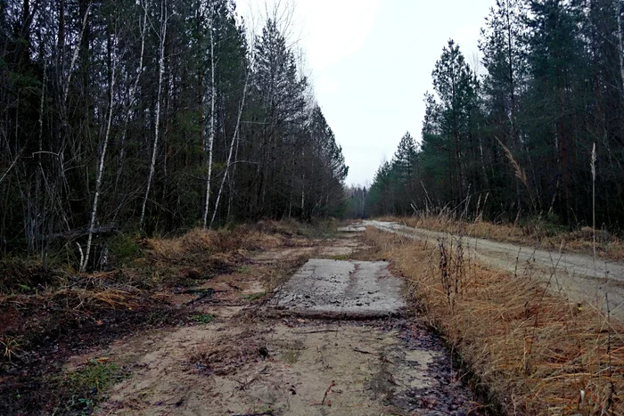 Voskresensk, Lopatinsky quarry - 2024. We looked at what was left there - My, Lopatinsky Mine, Voskresensk, Voskresensky District, Adventures, Career, Abandoned, Longpost