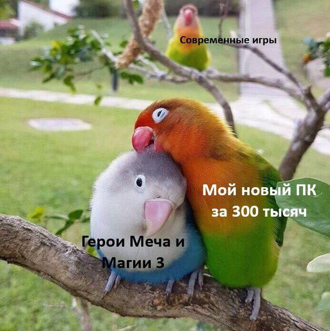 ����� ��������