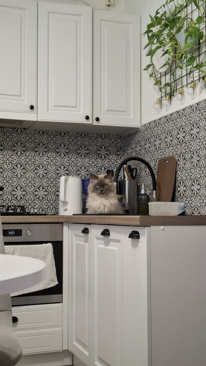 Вьетнамские флешбэки