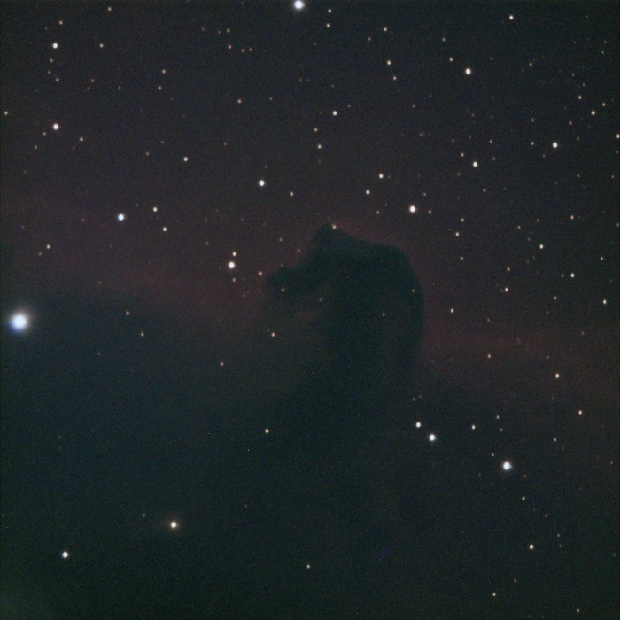 Смотрите какая лошадка. Показываю прямо сейчас в любительский телескоп без обработки и Фотошопа! Поглощательная туманность Barnard 33