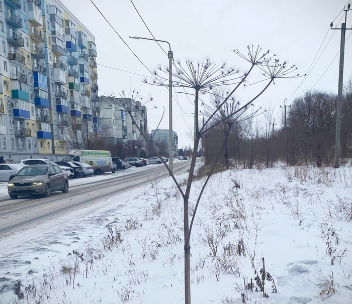 А не пора ли начать?.. :)