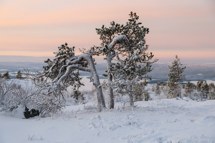 :   <a href="https://pikabu.ru/story/zagadka_snezhnyikh_vershin_12266201?u=https%3A%2F%2Frtraveler.ru%2Fphoto%2F1473319%2F%3Fnew_photos%3D1&t=%D0%BE%D1%82%D1%81%D1%8E%D0%B4%D0%B0&h=6373a89929a580f8df8374f86a2007d83b98f753" title="https://rtraveler.ru/photo/1473319/?new_photos=1" target="_blank" rel="nofollow noopener"></a>