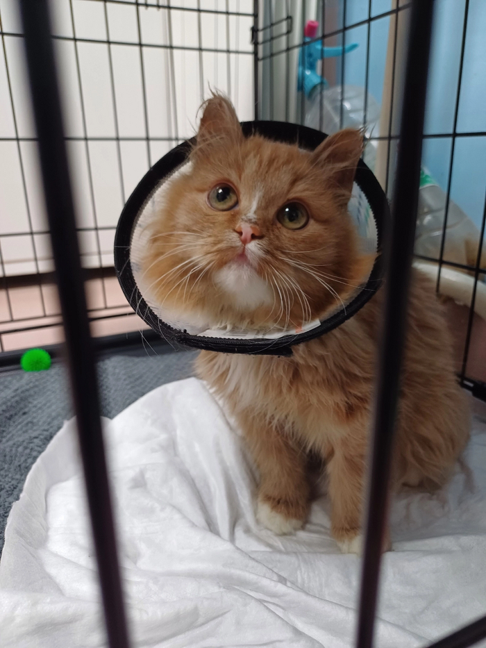 ��� �� ����� �����.