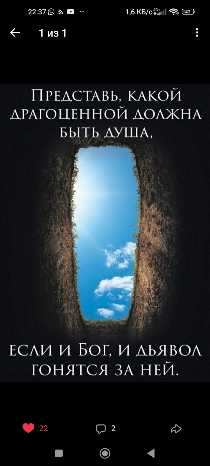  , ,   , , , ,  , 