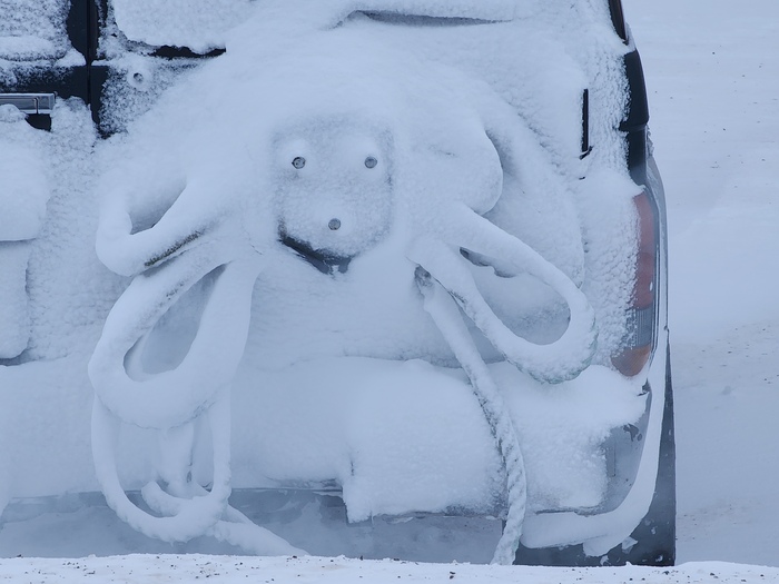 ����� �� ���� �������� ������ ���������� �� ������