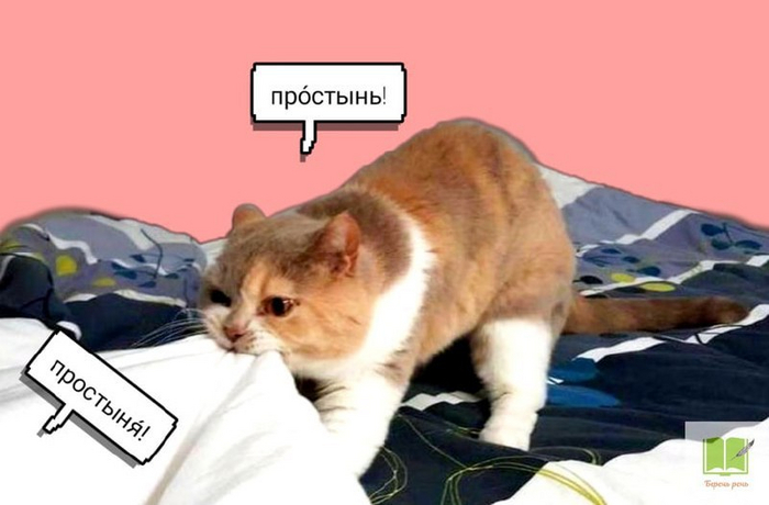  : ܻ  ߻? ,  