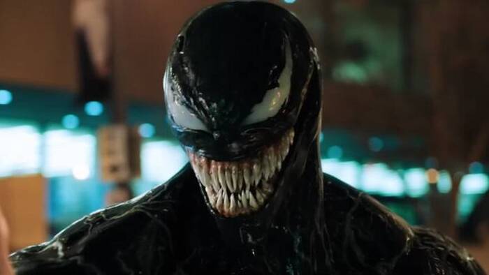 , ,  .   ,        - ANKOR    !