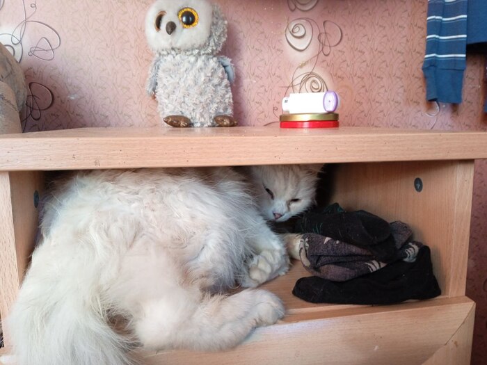 Поспать можно везде, даже если не очень-то удобно))