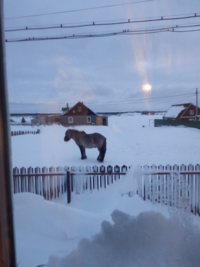 Ответ на пост «Конкурс зимних фотографий на Пикабу»