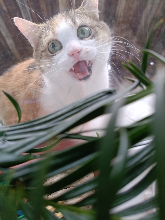    , , , 