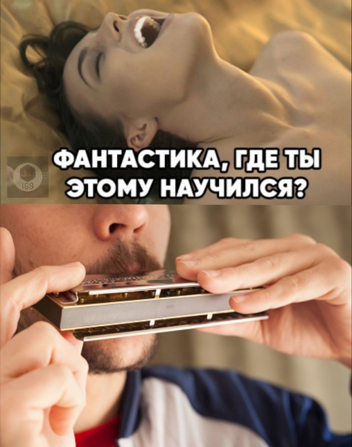     , Telegram (), ,  , , ,   