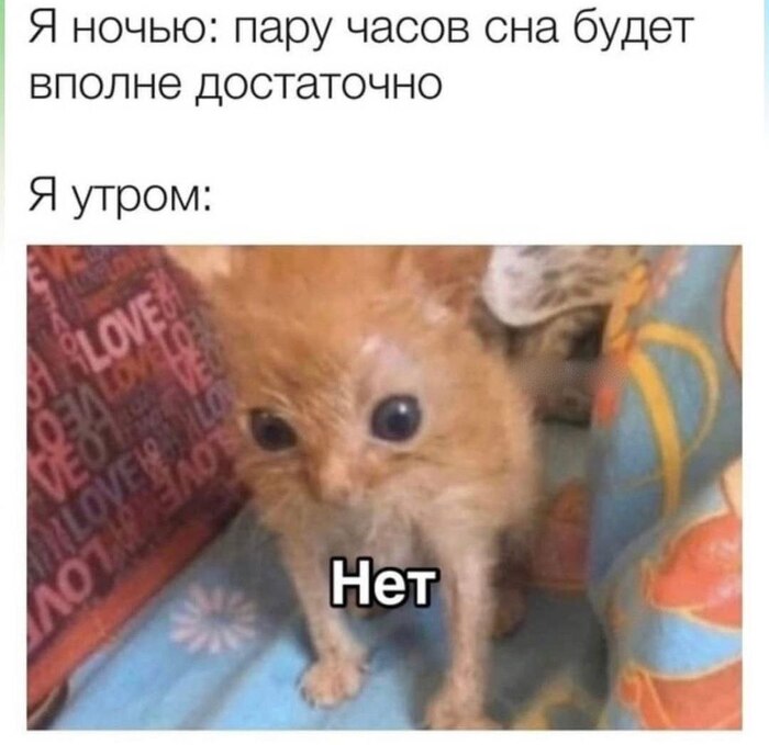 И на одни и те же грабли