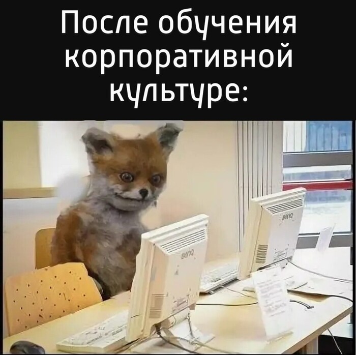    " " ? ,  ,  ,  ,   