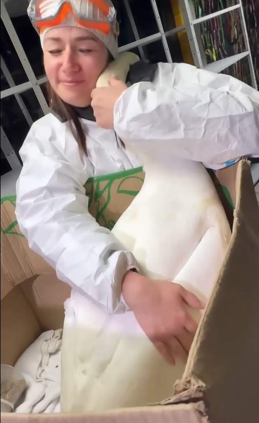         , , , , , , ,  ,  ,   