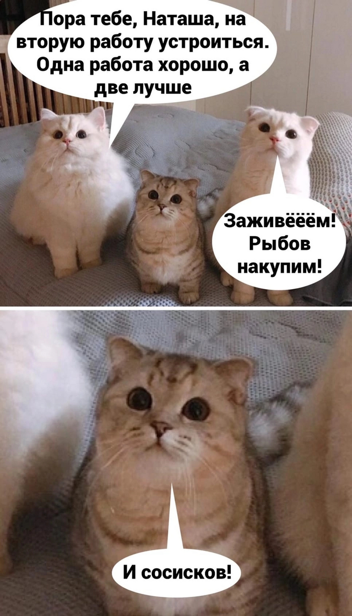        , ,   ?, , , ,   