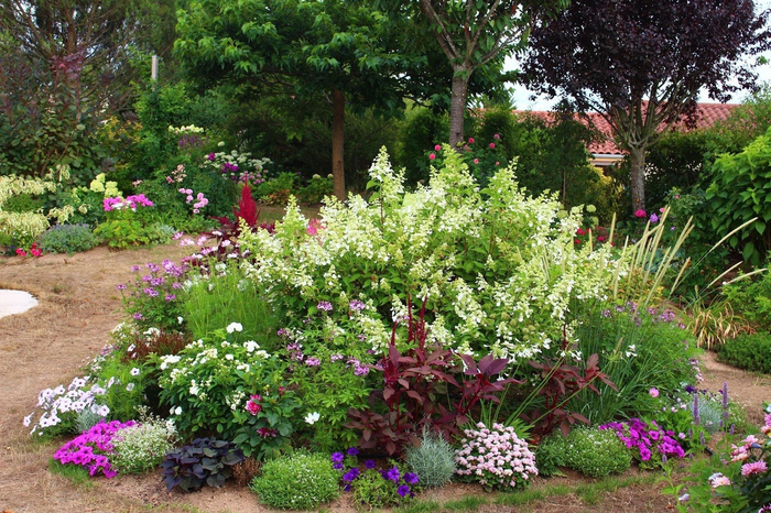 ���������� �� �������������: ��� ������� �������� ��������� ���������� ��� ����