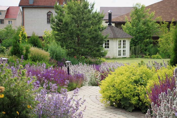 ���������� �� �������������: ��� ������� �������� ��������� ���������� ��� ����