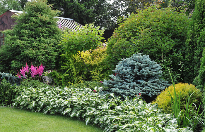 ���������� �� �������������: ��� ������� �������� ��������� ���������� ��� ����