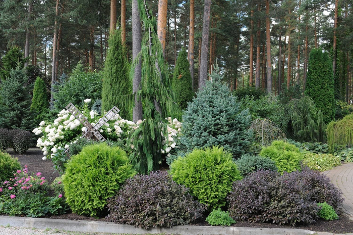 ���������� �� �������������: ��� ������� �������� ��������� ���������� ��� ����