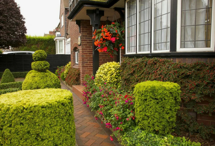 ���������� �� �������������: ��� ������� �������� ��������� ���������� ��� ����