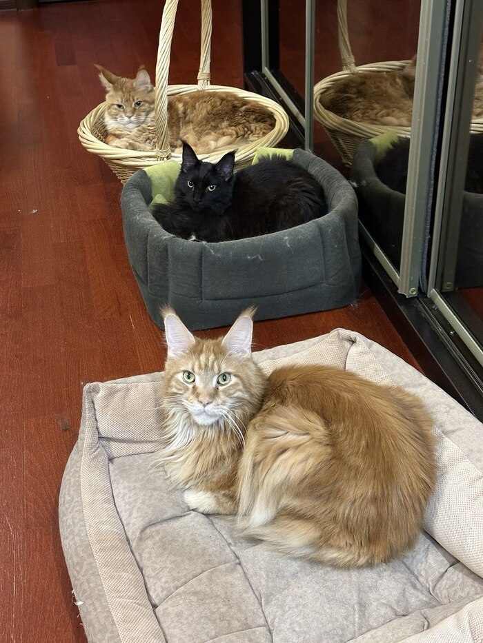 ����������