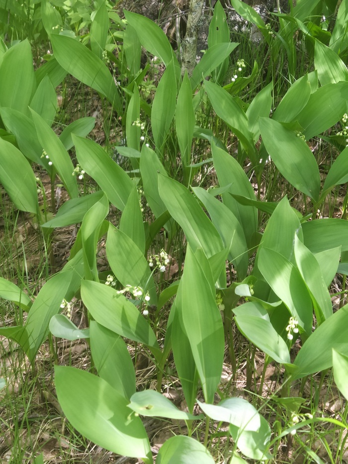 �������. ����� �� ����. ������� �����!