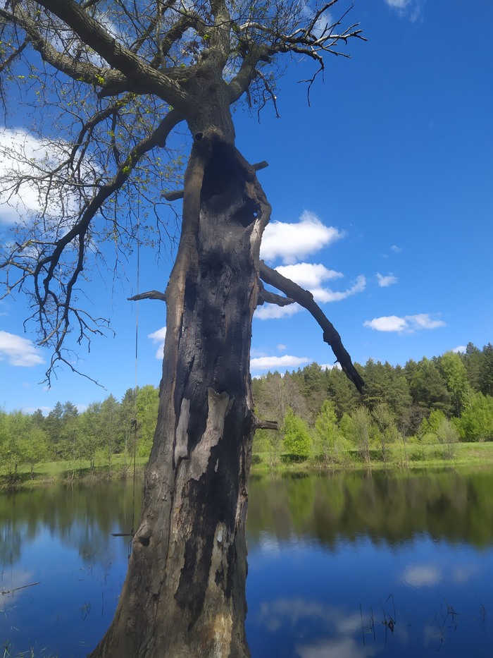 ������ ����������)