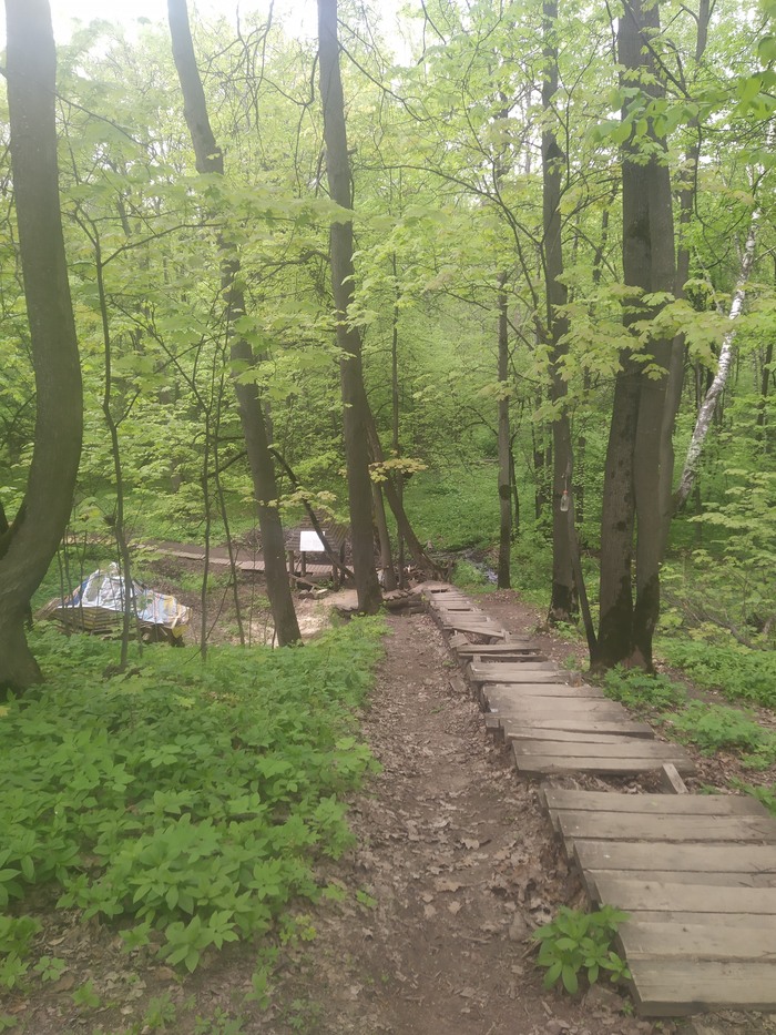 ����� � �������. ������ ���������, �� ������ �� �������...