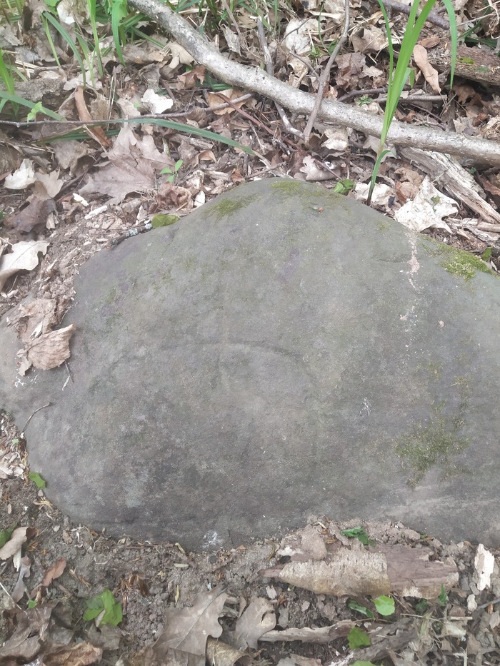 ��� ����� ���������� �������� � ���� � ������� ��������.