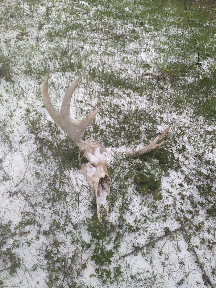 � ����� ���� ������)