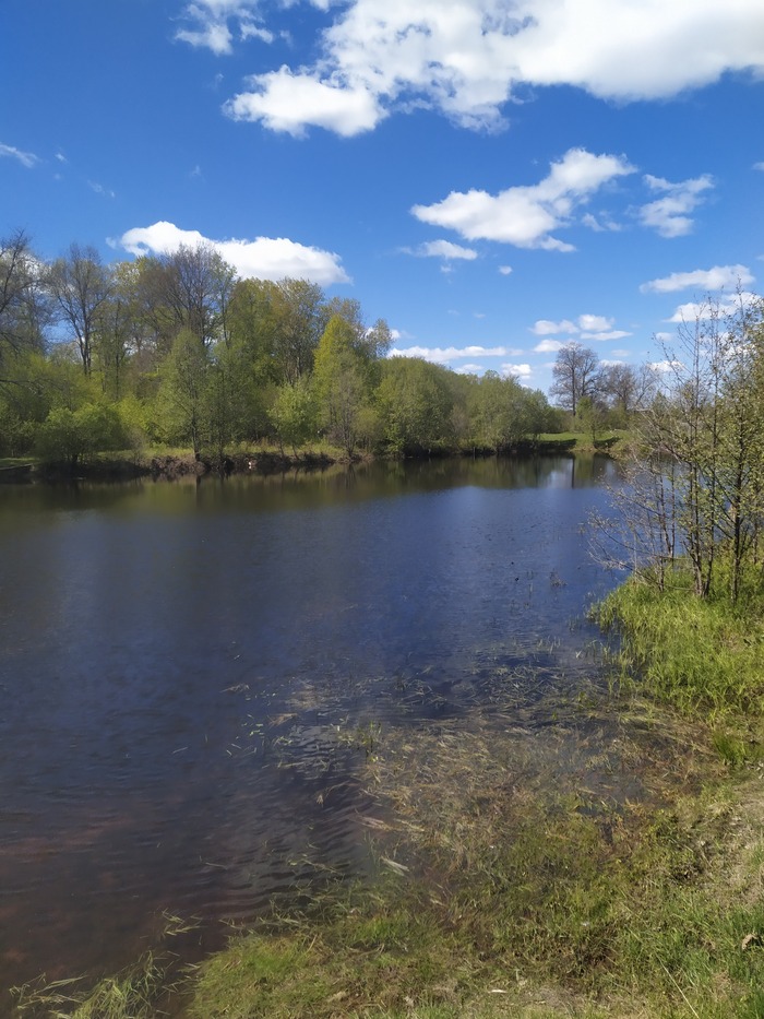 ����� �������, ����� ����� �������. ������ ����� ������� �������� �����.