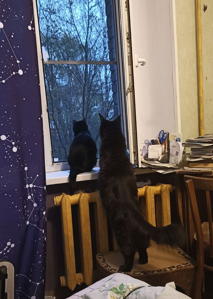 Дом там, где тебя ждут