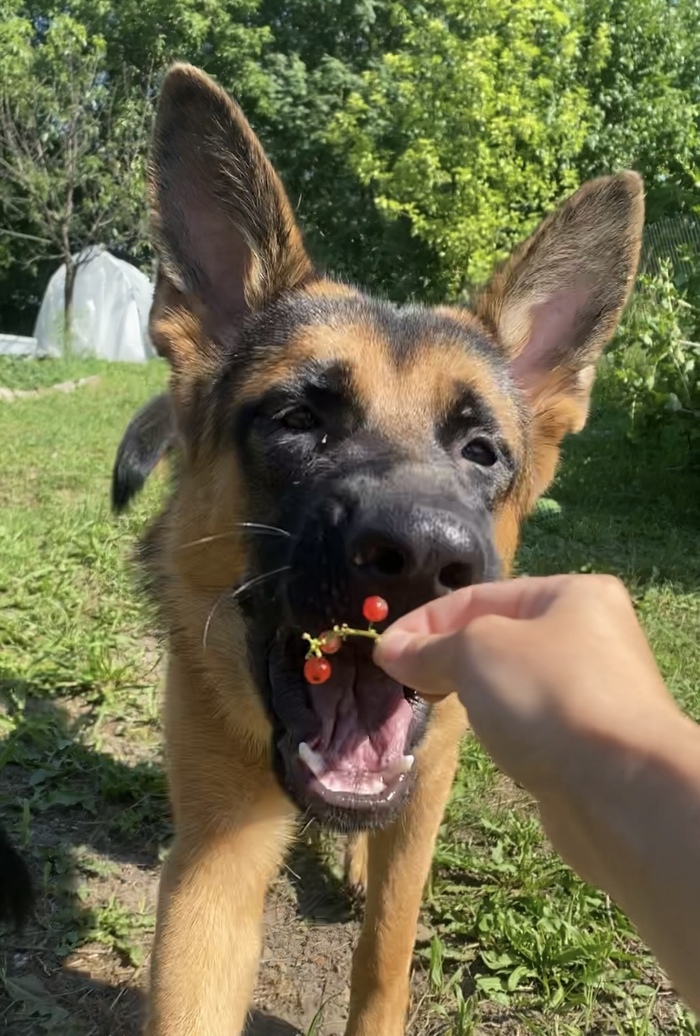       ,     -   ,    &#x1F644;