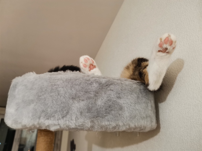 Вне политики, вне конкуренции