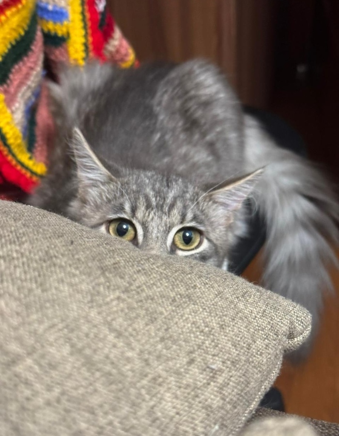 Спишь? Не спишь?