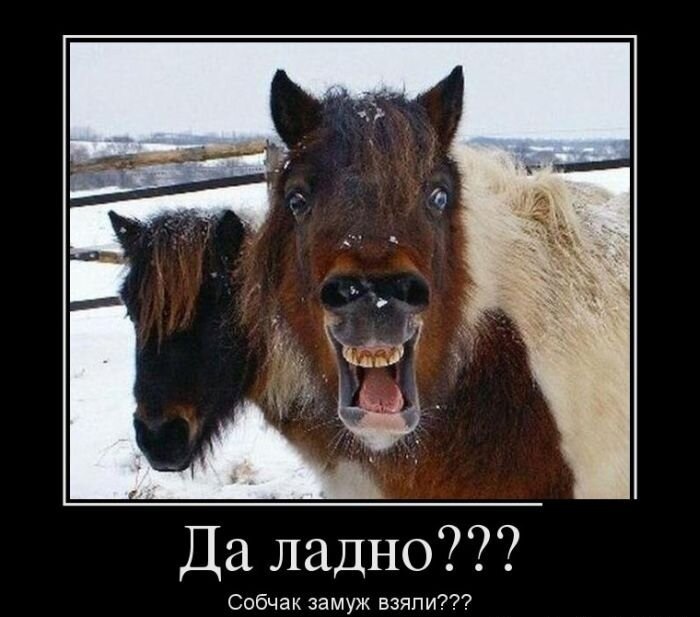 )))