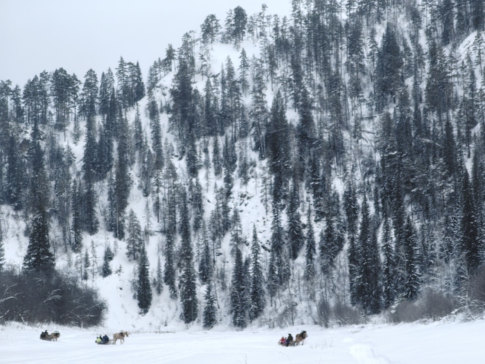 Ответ на пост «Конкурс зимних фотографий на Пикабу»