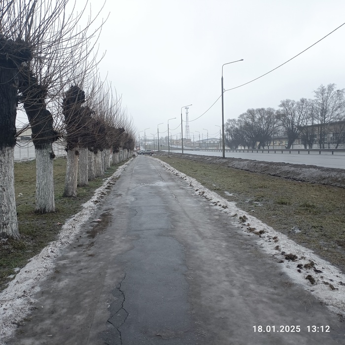          , , ,   2024, ,  ,   