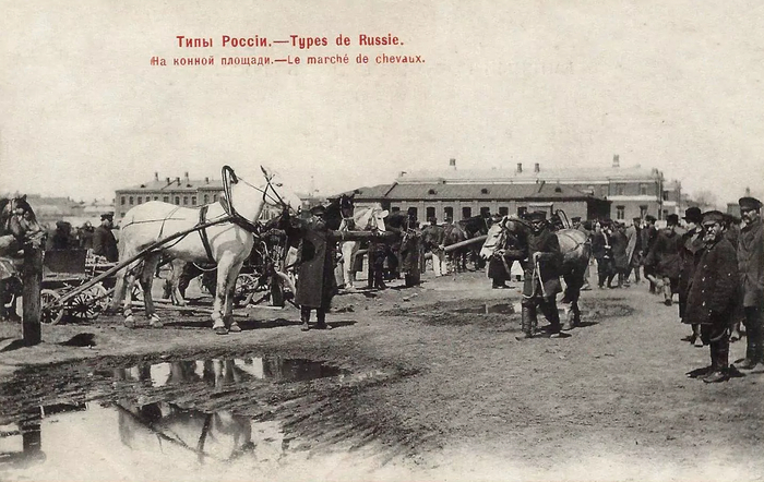    ? , ,  , ,  , 1906,     , , ,  , 