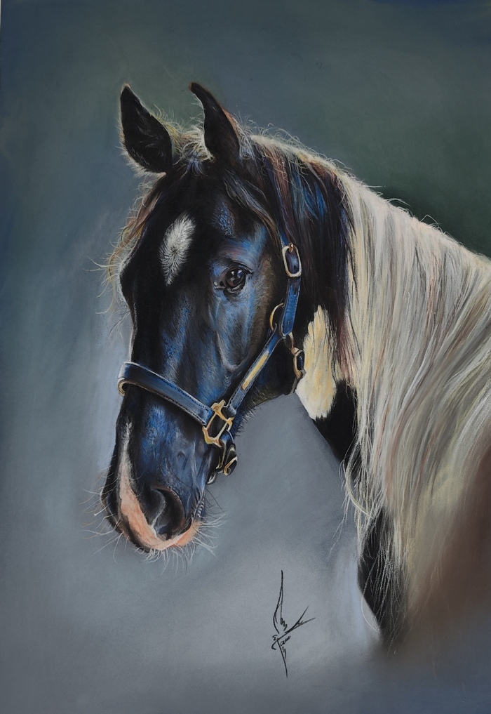 ������ ����������