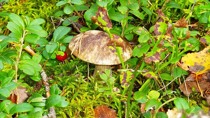 О чем то шепчутся...